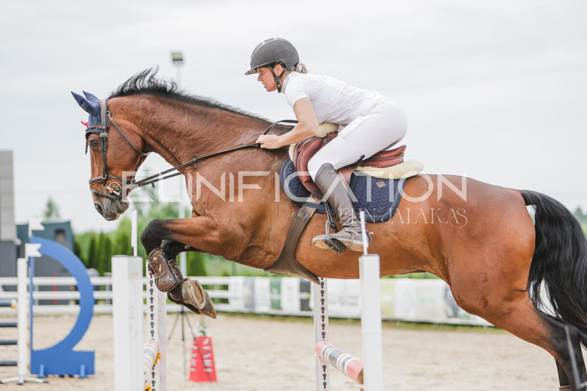 Gramina_Jaanipaev_2026_3p_115_195