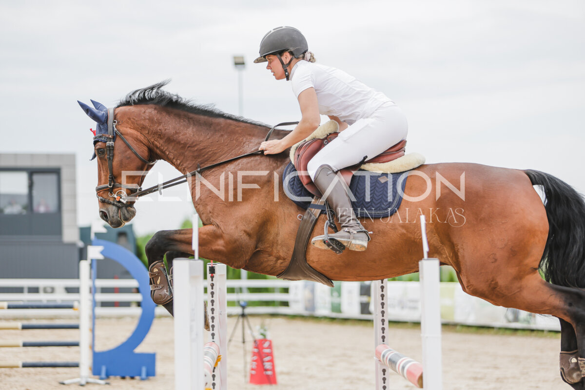 Gramina_Jaanipaev_2026_3p_115_196
