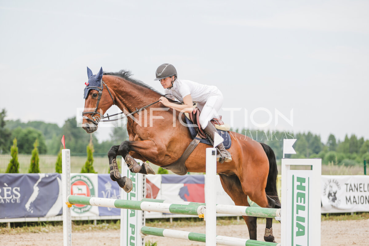 Gramina_Jaanipaev_2026_3p_115_201