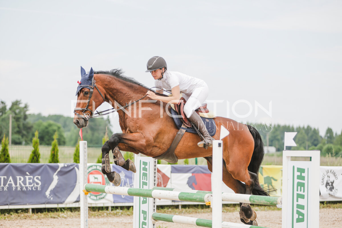 Gramina_Jaanipaev_2026_3p_115_202