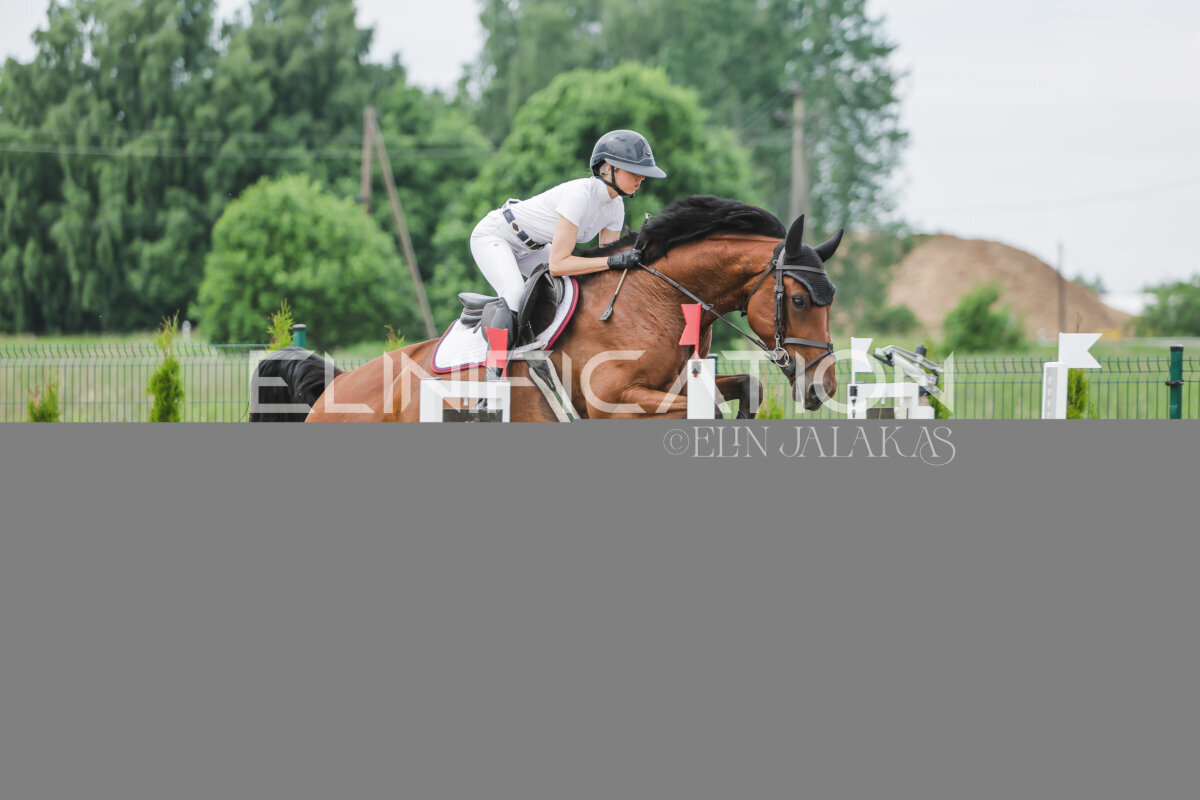 Gramina_Jaanipaev_2026_3p_115_203