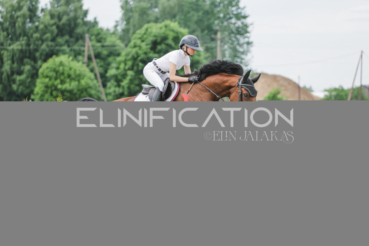 Gramina_Jaanipaev_2026_3p_115_204