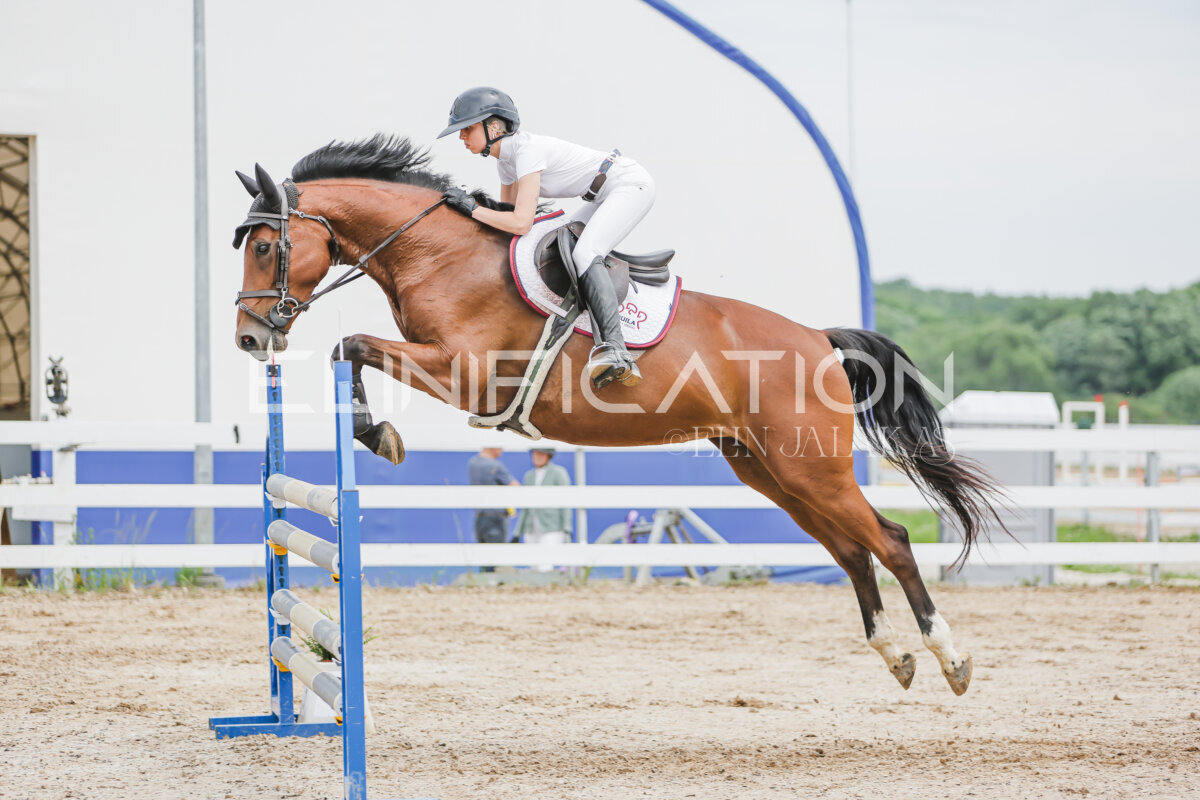 Gramina_Jaanipaev_2026_3p_115_206