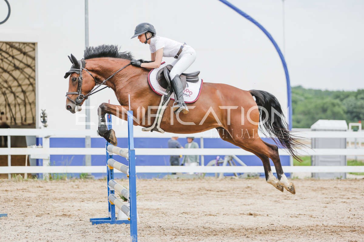 Gramina_Jaanipaev_2026_3p_115_207