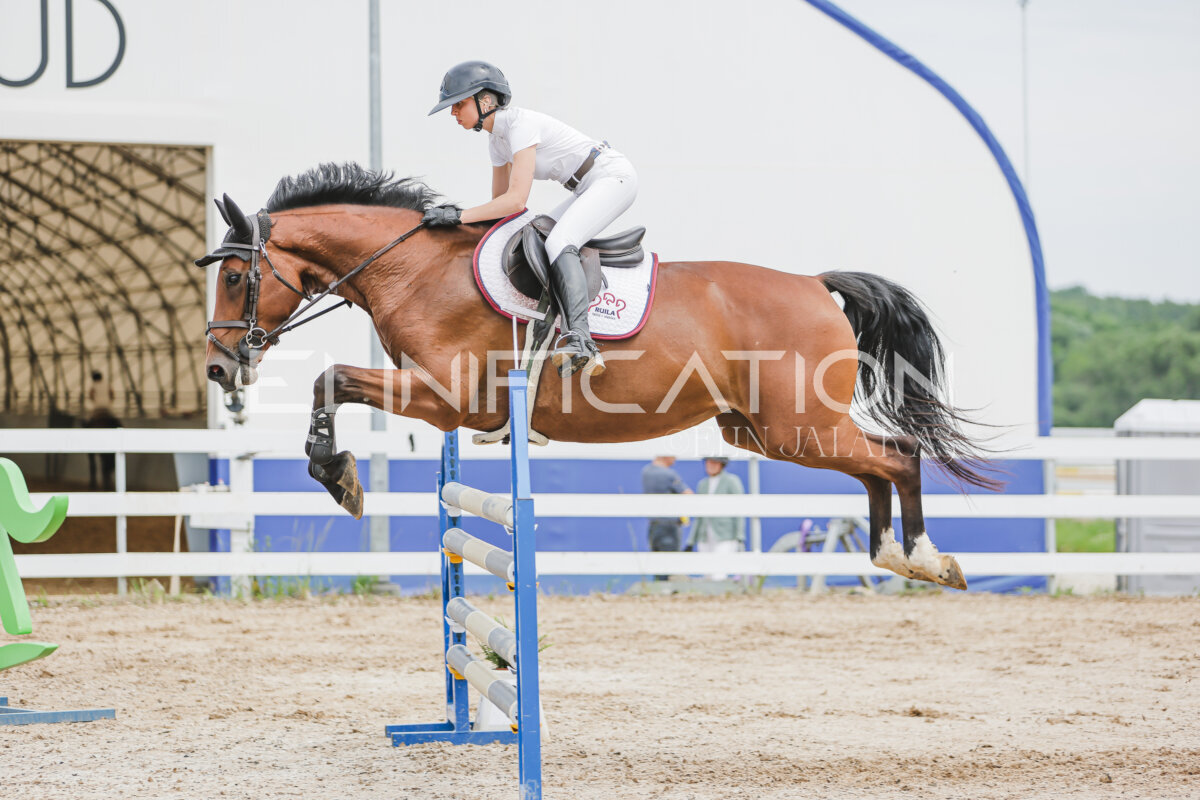 Gramina_Jaanipaev_2026_3p_115_208