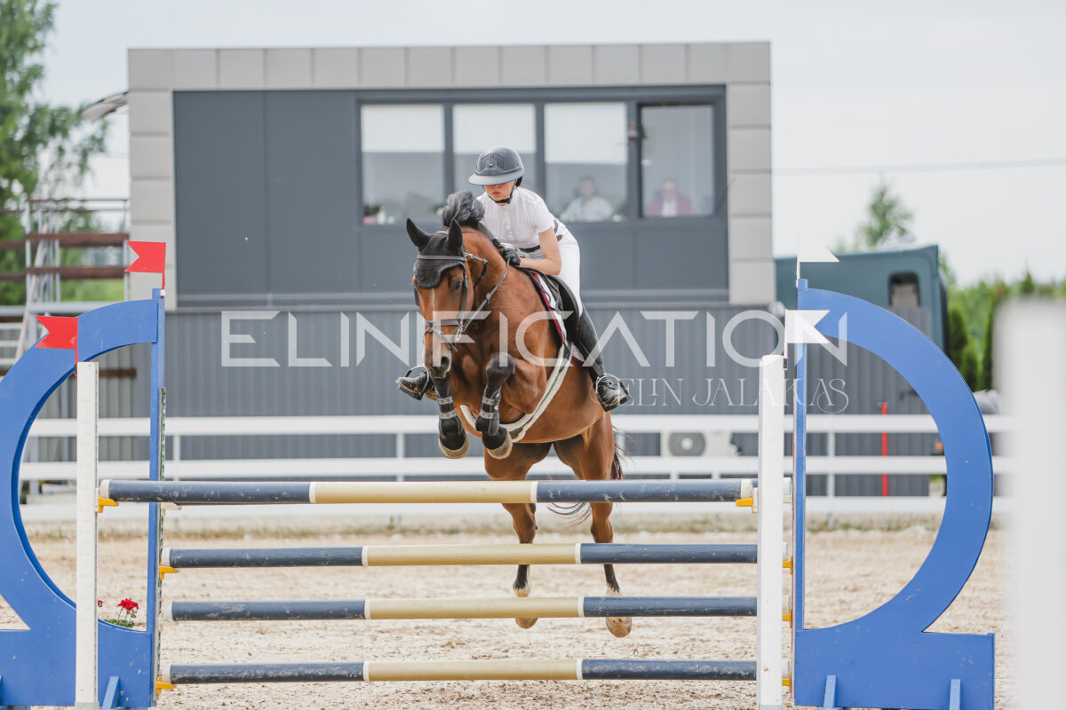 Gramina_Jaanipaev_2026_3p_115_209