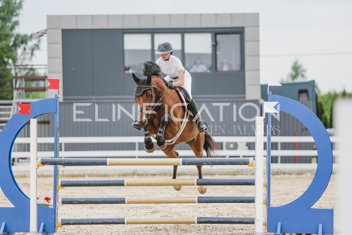 Gramina_Jaanipaev_2026_3p_115_210