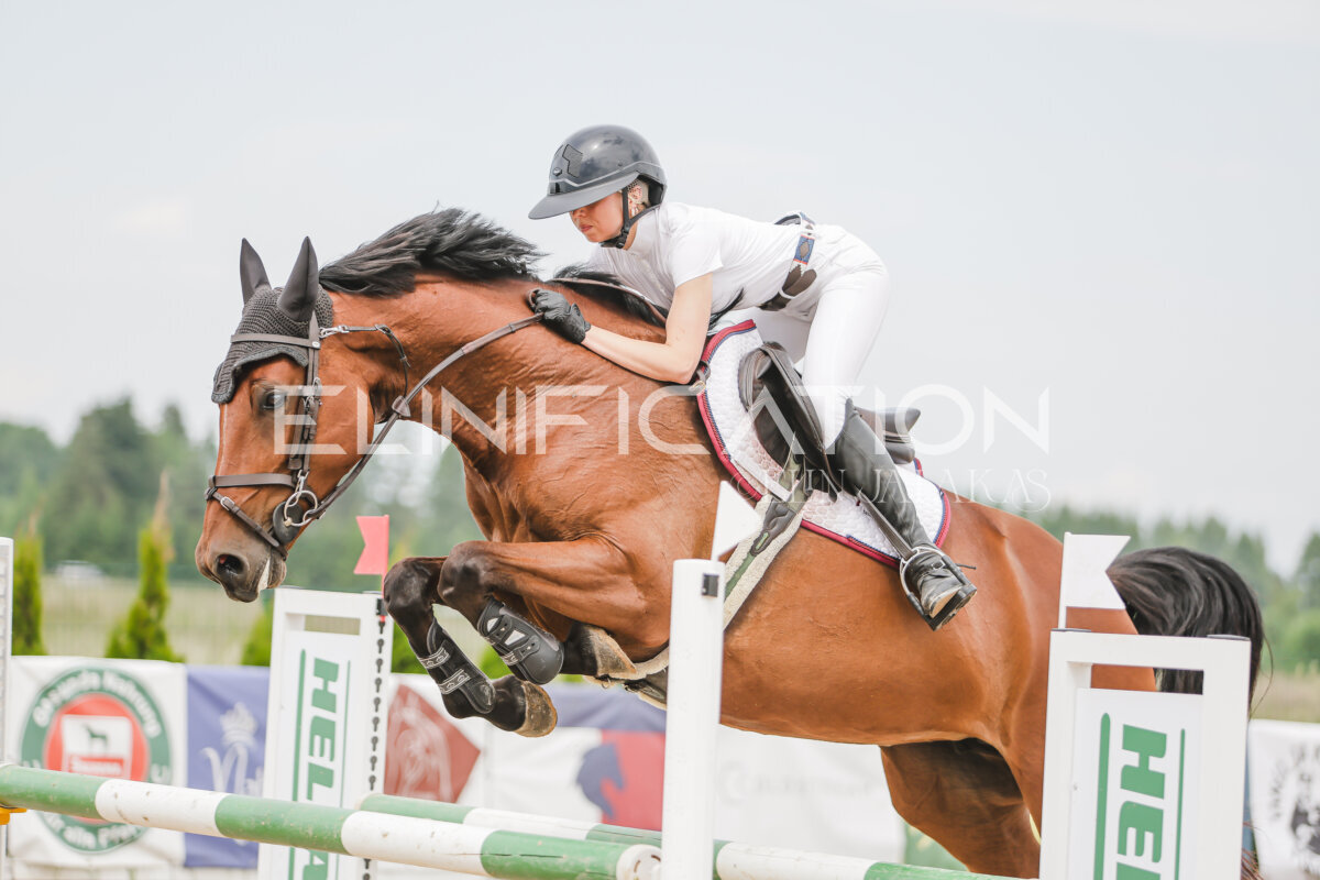 Gramina_Jaanipaev_2026_3p_115_213
