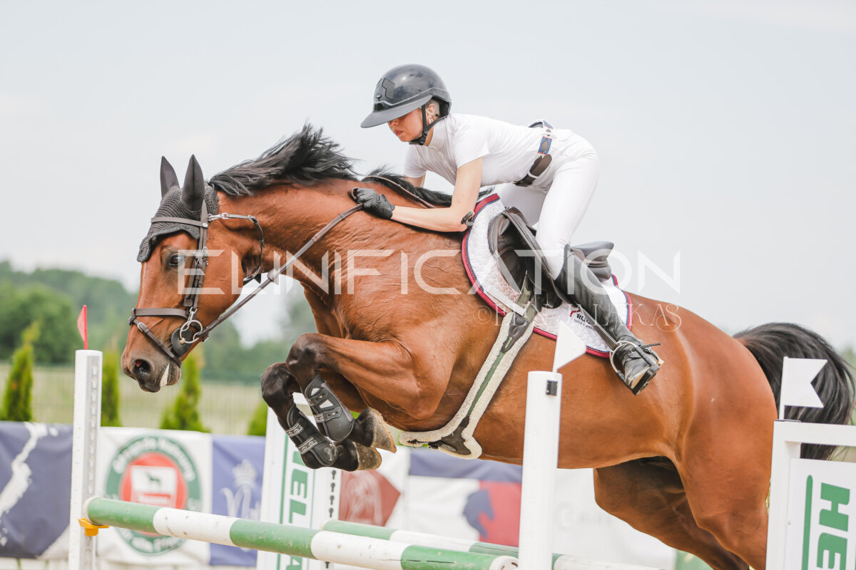 Gramina_Jaanipaev_2026_3p_115_214