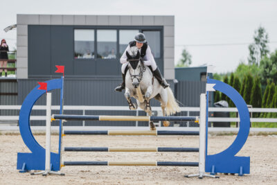 Gramina_Jaanipaev_2026_3p_125_18
