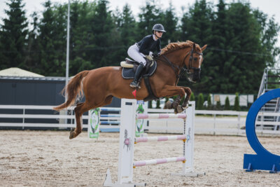 Gramina_Jaanipaev_2026_3p_135_22