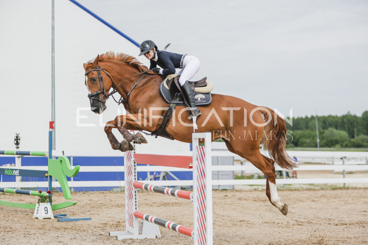 Gramina_Jaanipaev_2026_3p_135_33