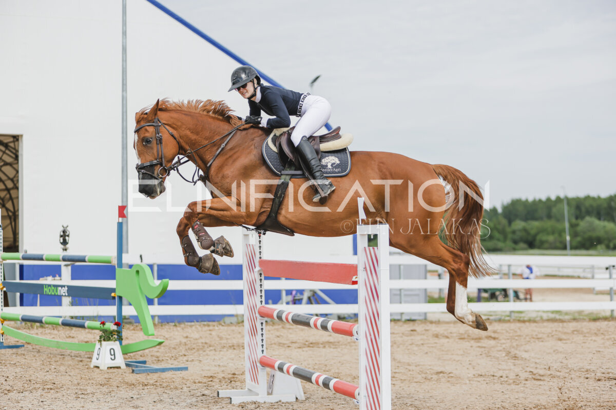 Gramina_Jaanipaev_2026_3p_135_34