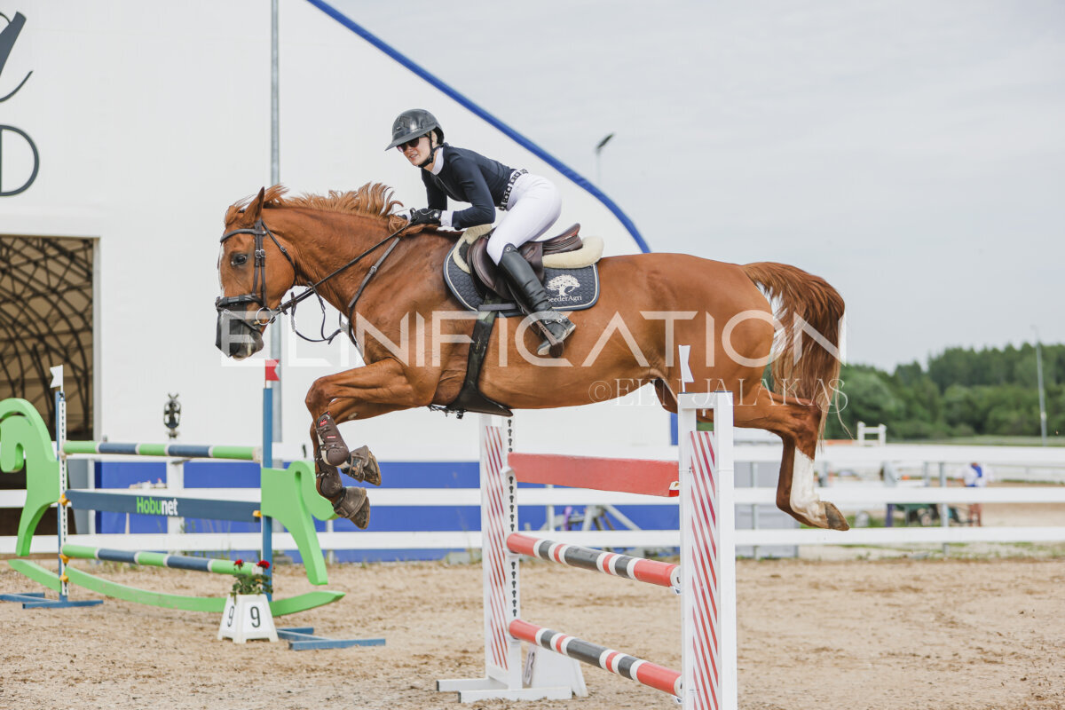 Gramina_Jaanipaev_2026_3p_135_35