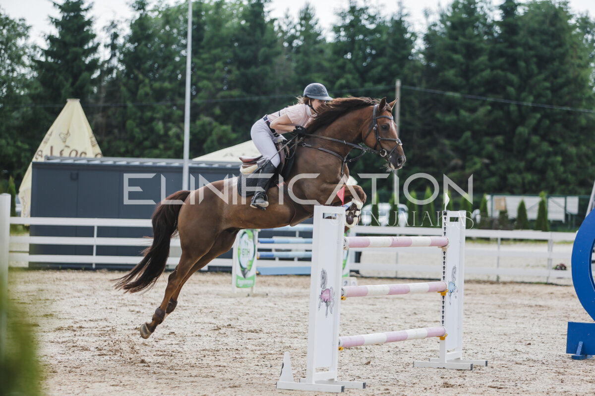Gramina_Jaanipaev_2026_3p_135_37