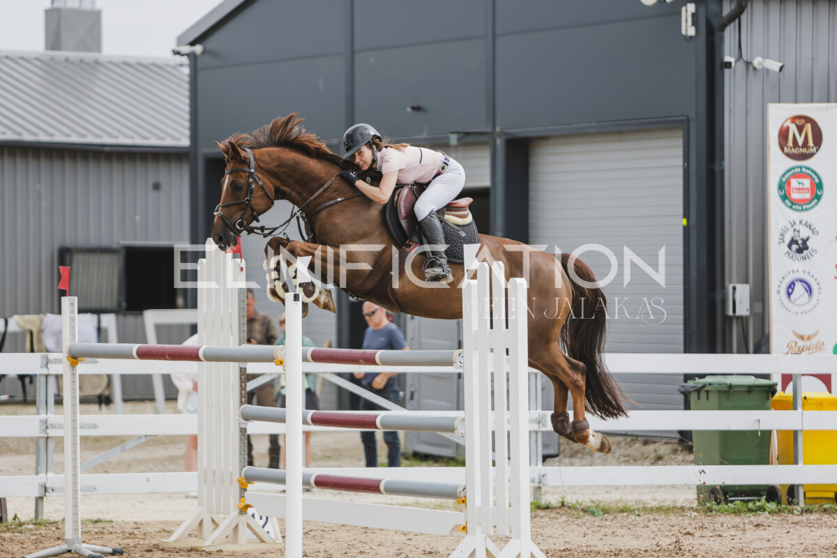Gramina_Jaanipaev_2026_3p_135_50
