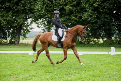 Olustvere_Eventing_2026_CCI2-S_KS_001