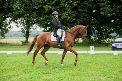 Olustvere_Eventing_2026_CCI2-S_KS_002