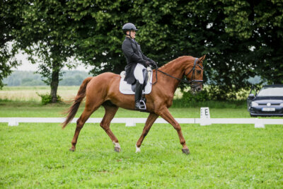 Olustvere_Eventing_2026_CCI2-S_KS_003