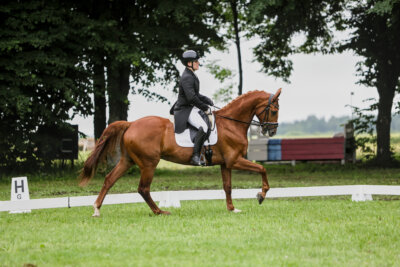 Olustvere_Eventing_2026_CCI2-S_KS_007