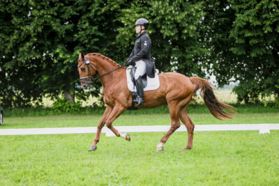 Olustvere_Eventing_2026_CCI2-S_KS_009