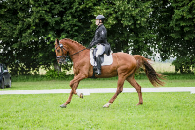 Olustvere_Eventing_2026_CCI2-S_KS_010