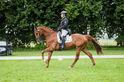Olustvere_Eventing_2026_CCI2-S_KS_011
