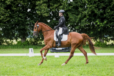 Olustvere_Eventing_2026_CCI2-S_KS_014