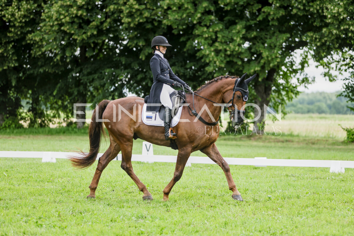 Olustvere_Eventing_2026_CCI2-S_KS_104