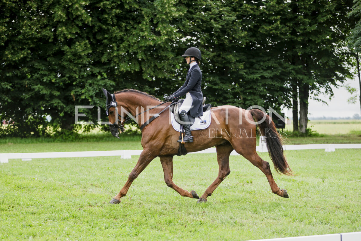 Olustvere_Eventing_2026_CCI2-S_KS_113