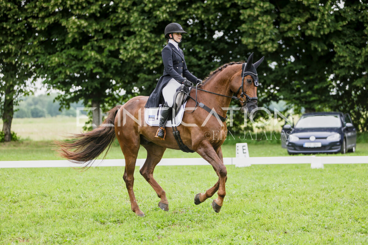 Olustvere_Eventing_2026_CCI2-S_KS_115