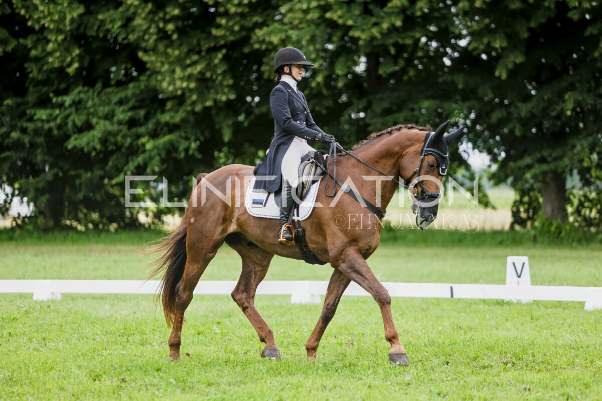 Olustvere_Eventing_2026_CCI2-S_KS_124