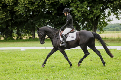 Olustvere_Eventing_2026_CCN90_KS_018
