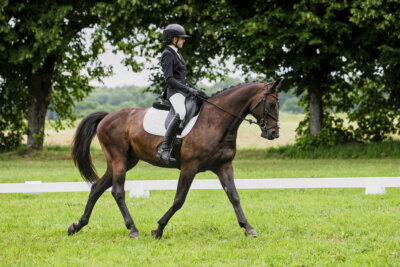 Olustvere_Eventing_2026_CCN90_KS_024
