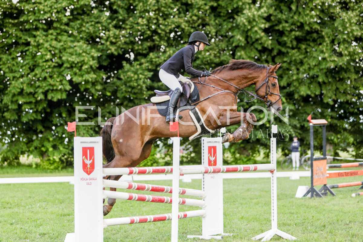 Olustvere_Eventing_2026_CCI2-S_TS_113
