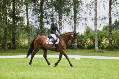 Olustvere_Eventing_2026_CCN70_KS_014