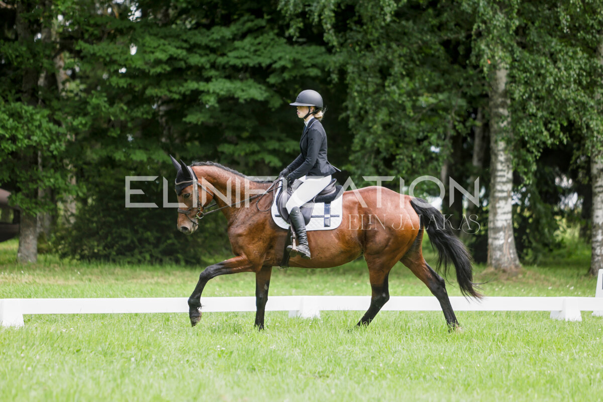 Olustvere_Eventing_2026_CCN70_KS_019