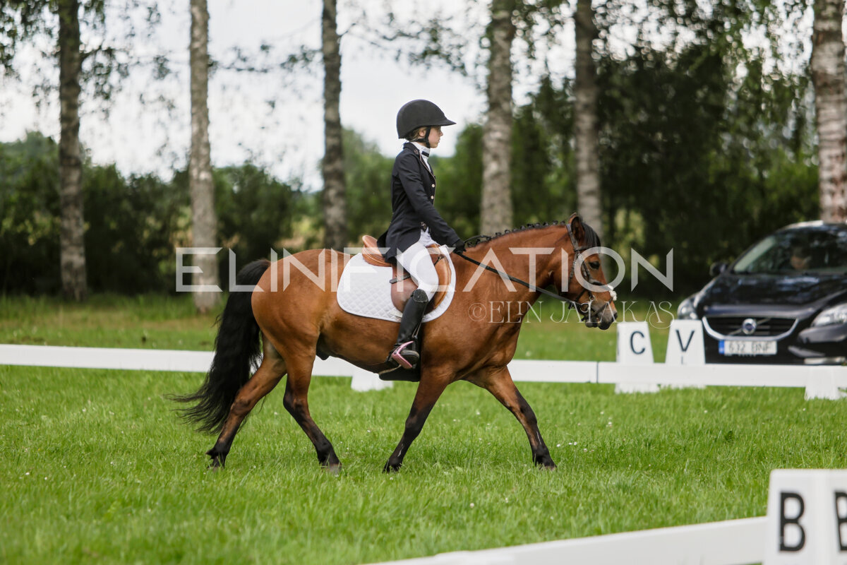 Olustvere_Eventing_2026_CCN70_KS_155