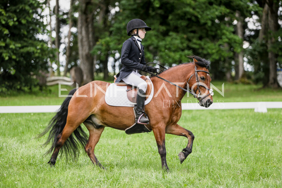 Olustvere_Eventing_2026_CCN70_KS_175