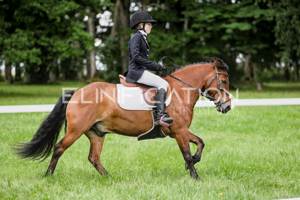Olustvere_Eventing_2026_CCN70_KS_177
