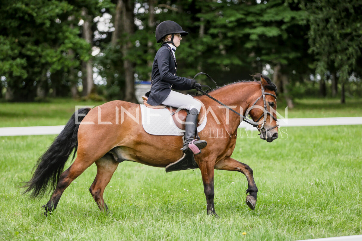 Olustvere_Eventing_2026_CCN70_KS_178