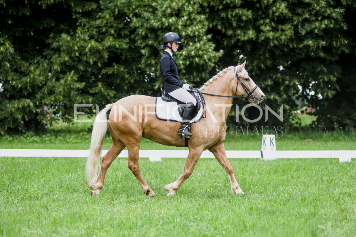 Olustvere_Eventing_2026_CCN70_KS_197