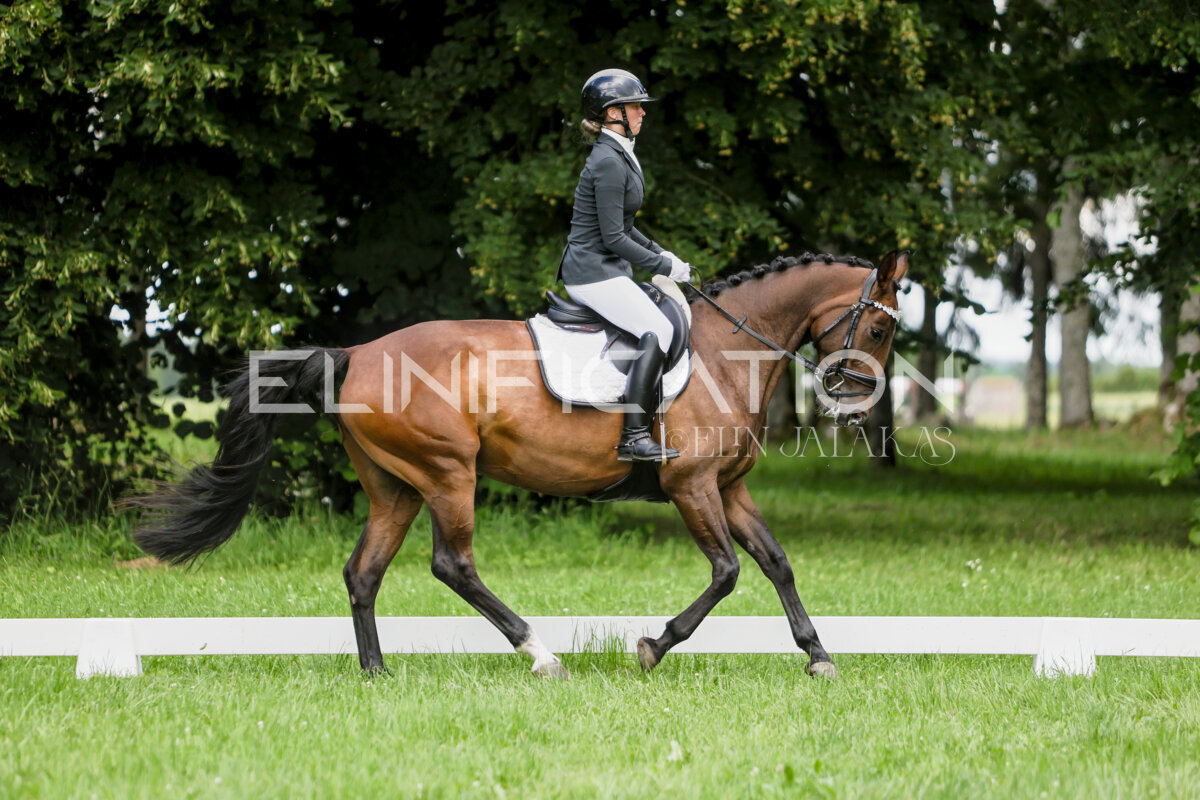 Olustvere_Eventing_2026_CCN70_KS_270