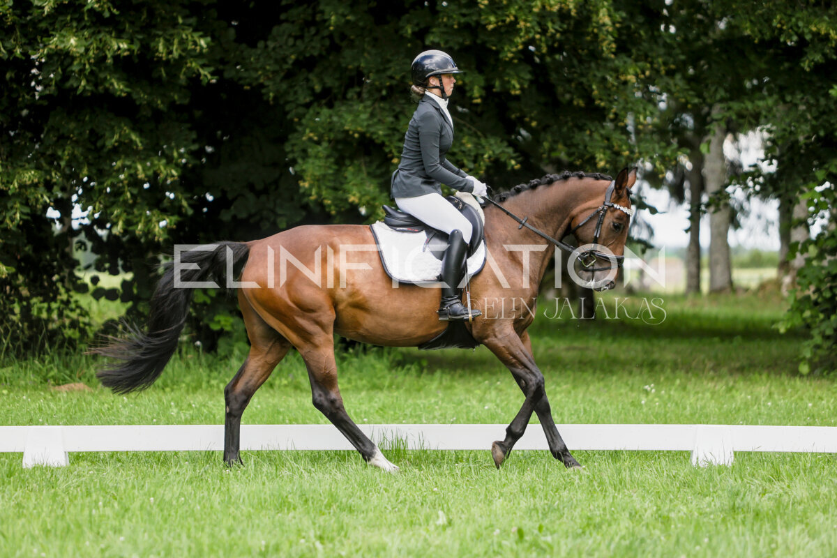 Olustvere_Eventing_2026_CCN70_KS_271