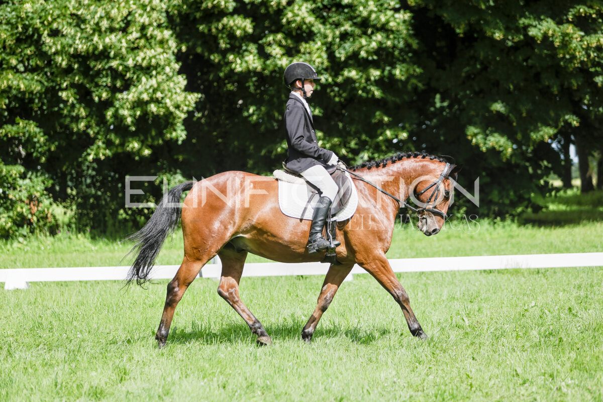 Olustvere_Eventing_2026_CCN70_KS_330