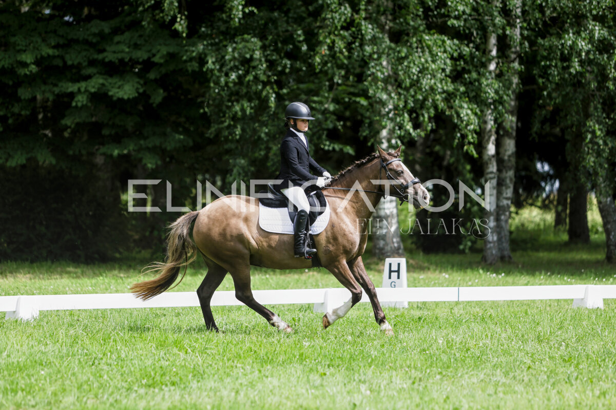 Olustvere_Eventing_2026_CCN70_KS_348