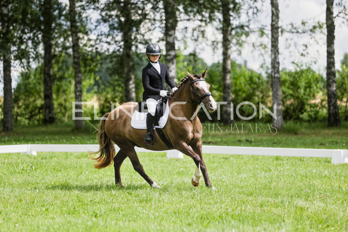 Olustvere_Eventing_2026_CCN70_KS_353