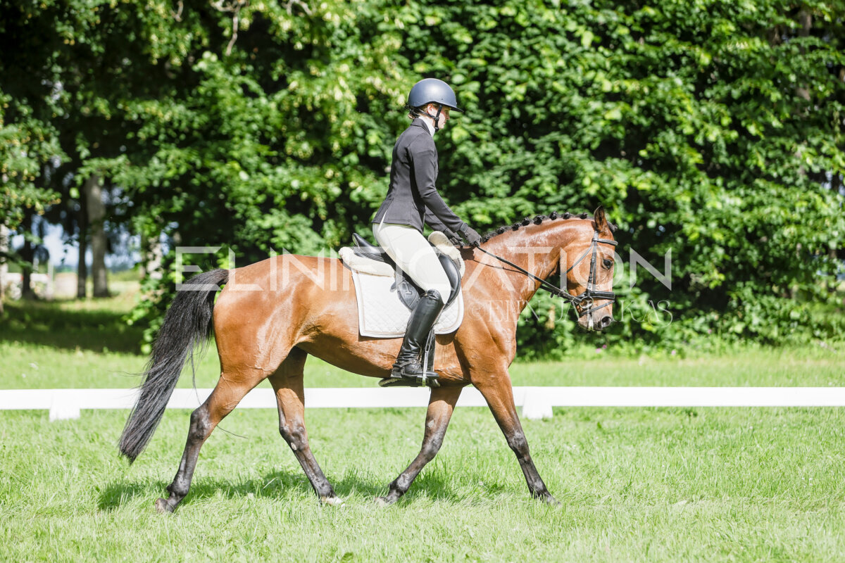 Olustvere_Eventing_2026_CCN70_KS_499