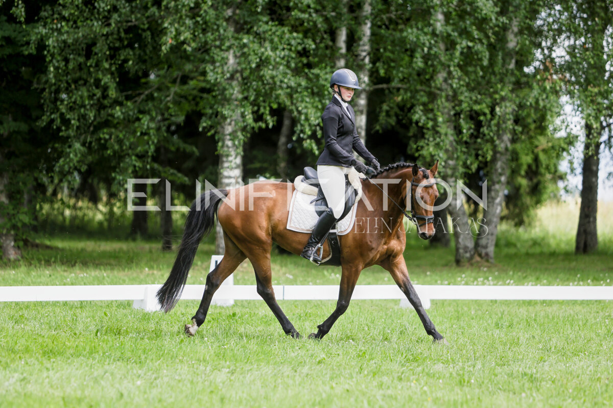 Olustvere_Eventing_2026_CCN70_KS_501