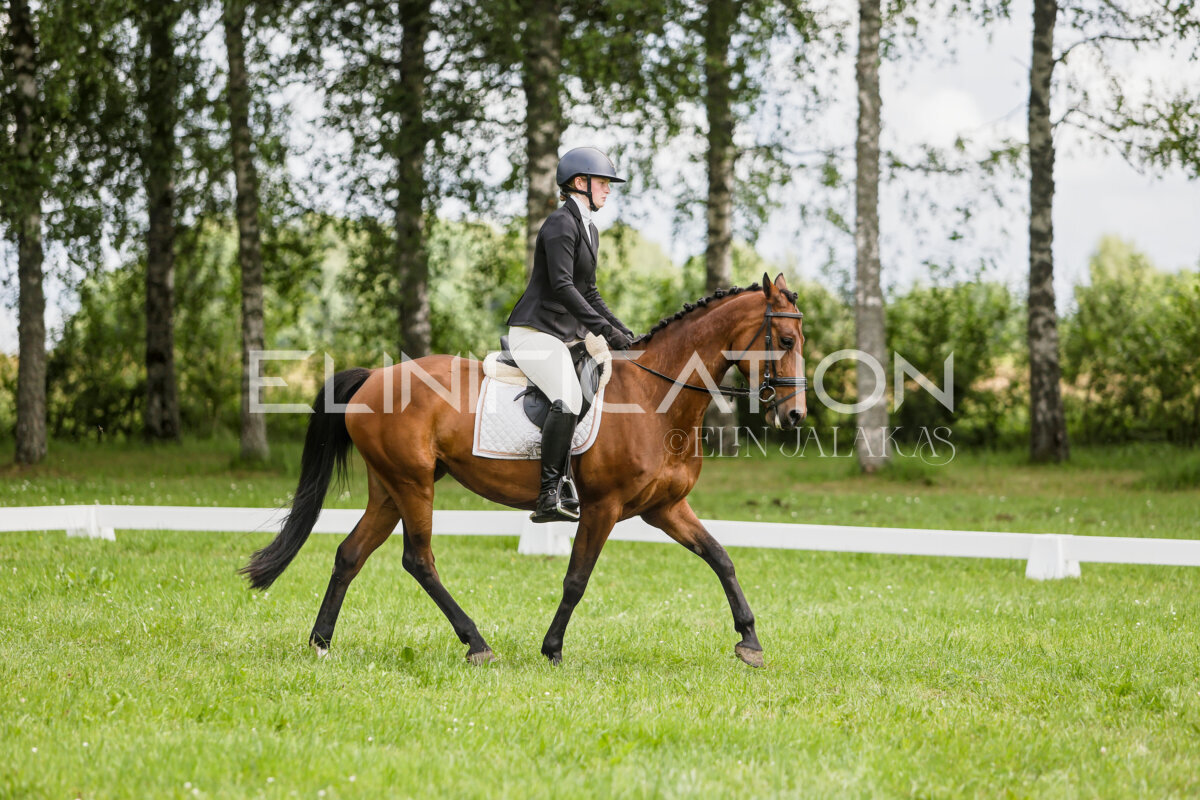 Olustvere_Eventing_2026_CCN70_KS_514